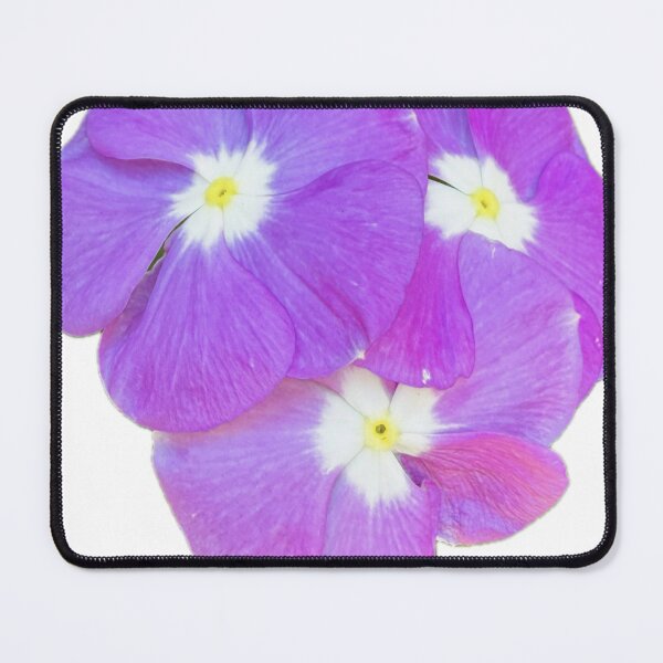 Item preview, Purple Periwinkle Flower Trio Transparent Sticker Graphic designed and sold by BalkanBloom.