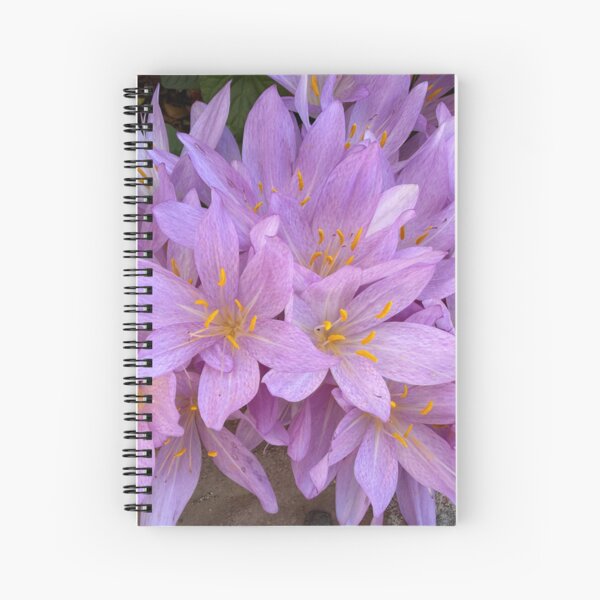 Item preview, Saffron Crocus Flowers designed and sold by Heatherian.