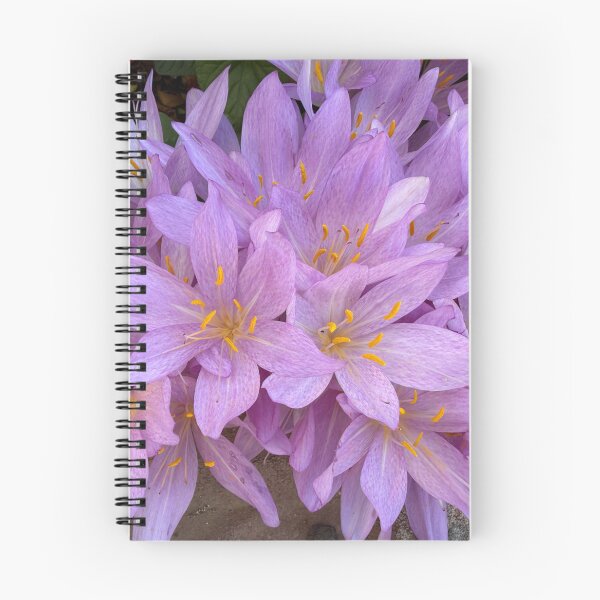 Item preview, Saffron Crocus Flowers designed and sold by Heatherian.