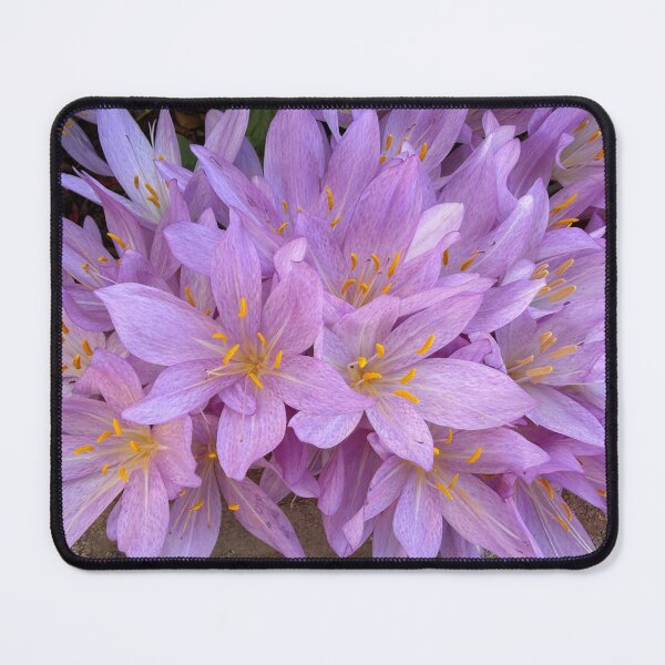 Item preview, Saffron Crocus Flowers designed and sold by Heatherian.