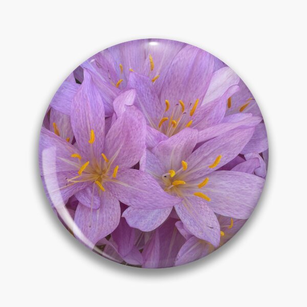 Item preview, Saffron Crocus Flowers designed and sold by Heatherian.