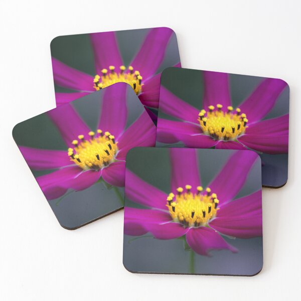 Item preview, Elegant magenta cosmos dancing in the moody bokeh designed and sold by TanalyFlowers.