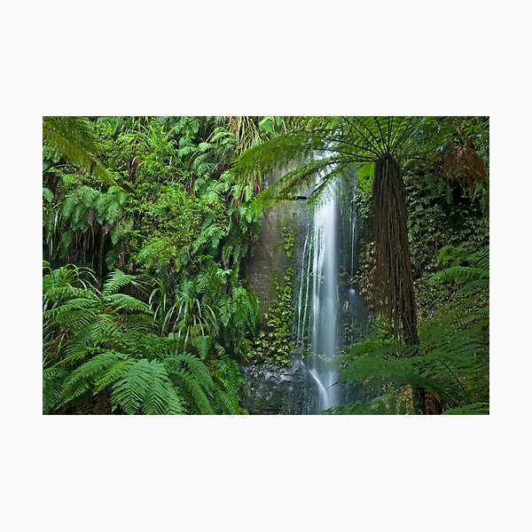 Forgotten Waterfalls. Photographic Print