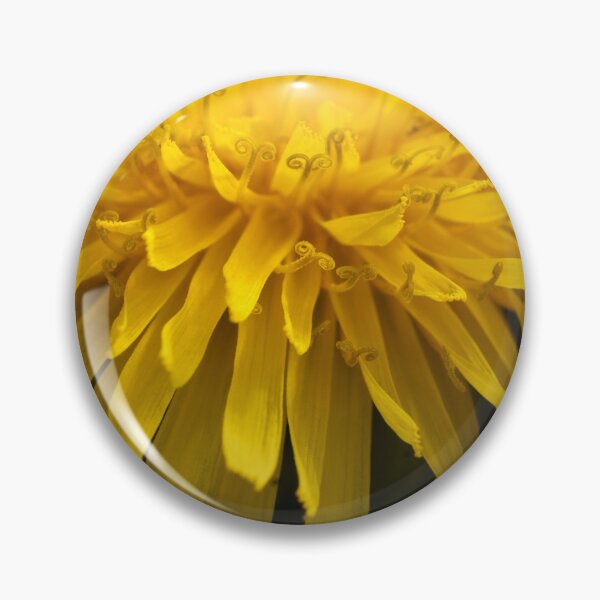 Item preview,  Golden crown of a dandelion macro portrait designed and sold by TanalyFlowers.
