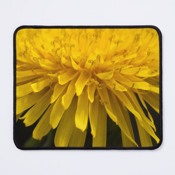 Item preview, Golden crown of a dandelion macro portrait designed and sold by TanalyFlowers.