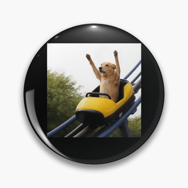 Item preview, Labrador Riding Roller Coaster Meme designed and sold by charoen-design.