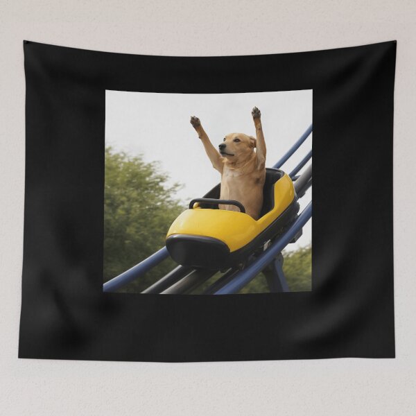 Item preview, Labrador Riding Roller Coaster Meme designed and sold by charoen-design.
