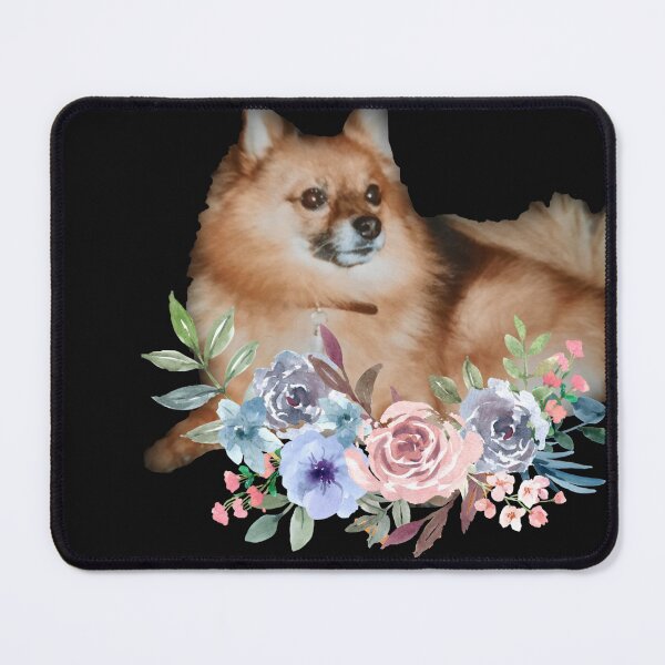 Item preview, Pomeranian mom, Pomeranian dog, cute dog with lots of hair and hairy tail. Best gift for dog lovers, Pomeranian lovers. designed and sold by DiensDesign.