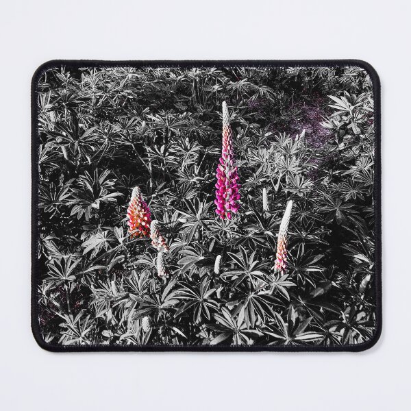 Item preview, Lupines in the Field designed and sold by Hans Peðer Alfreð .