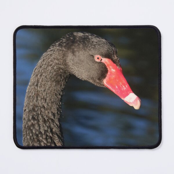 Item preview, At a Stretch designed and sold by Phillip Weyers.