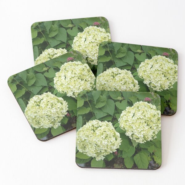 Item preview, White Hydrangea Blossoms designed and sold by PhuongVoArt.