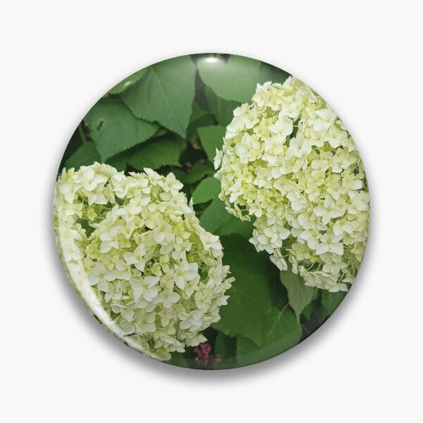Item preview, White Hydrangea Blossoms designed and sold by PhuongVoArt.