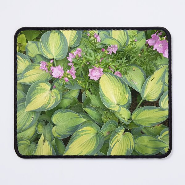 Item preview, Variegated Hosta Leaves designed and sold by PhuongVoArt.