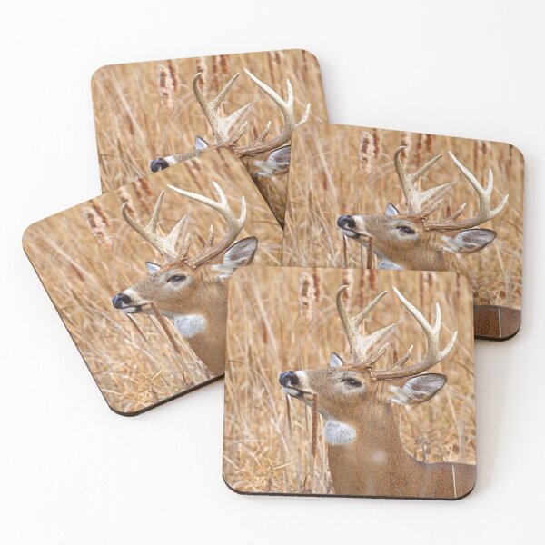 Item preview, Love is in the air - White-tailed deer designed and sold by James Cumming.