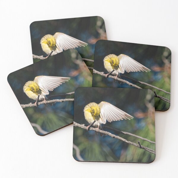 Item preview, Bird cleaning its wing designed and sold by XaviFotografia.