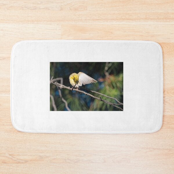 Item preview, Bird cleaning its wing designed and sold by XaviFotografia.