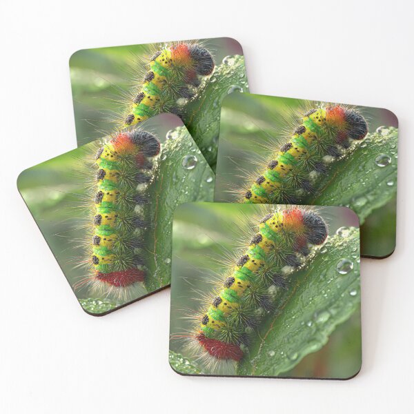 Item preview, Caterpillar  designed and sold by AwesomeDigiShop.