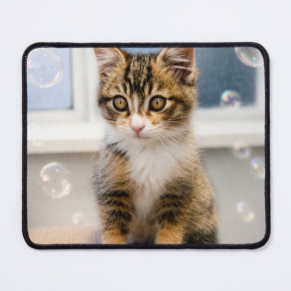 Item preview, Bubble Dreams Kitten designed and sold by Kimberly Palmer.