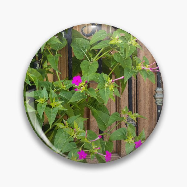 Item preview, Pink Garden Flowers Climbing Wrought Iron Gate Beside Rustic Wooden Door Entrance designed and sold by Nmallia.