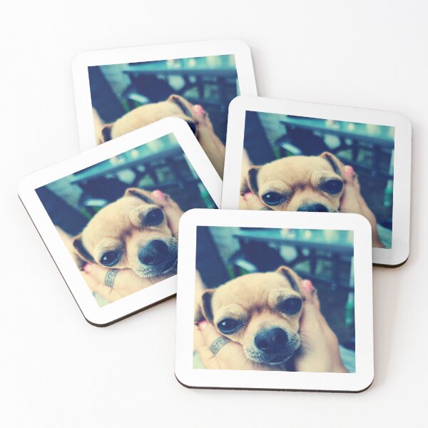 Item preview, Chihuahuas  designed and sold by Kasia1987t.