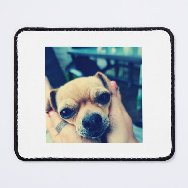 Item preview, Chihuahuas designed and sold by Kasia1987t.