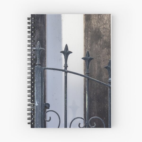 Item preview, Vintage Iron Gate With Ornate Fleur-De-Lis Finials in Front of Weathered Wooden Doors designed and sold by Nmallia.