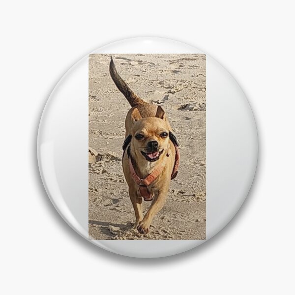 Item preview, Chihuahuas smile designed and sold by Kasia1987t.