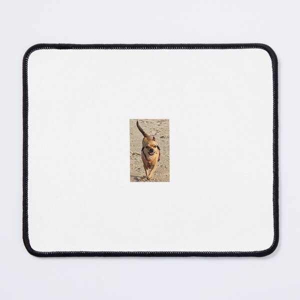 Item preview, Chihuahuas smile designed and sold by Kasia1987t.