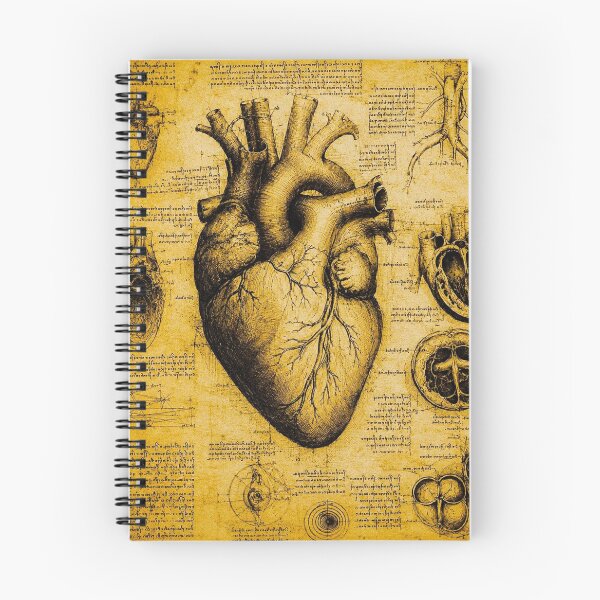 Item preview, Da Vinci Style Human Heart designed and sold by The Great  Art.
