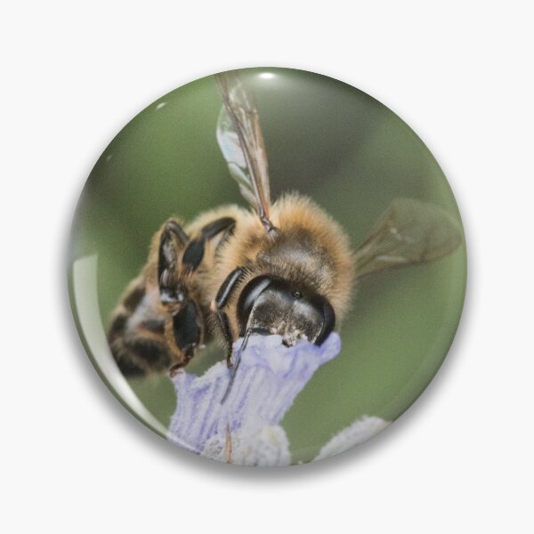 Item preview, Bee sipping nectar designed and sold by XaviFotografia.