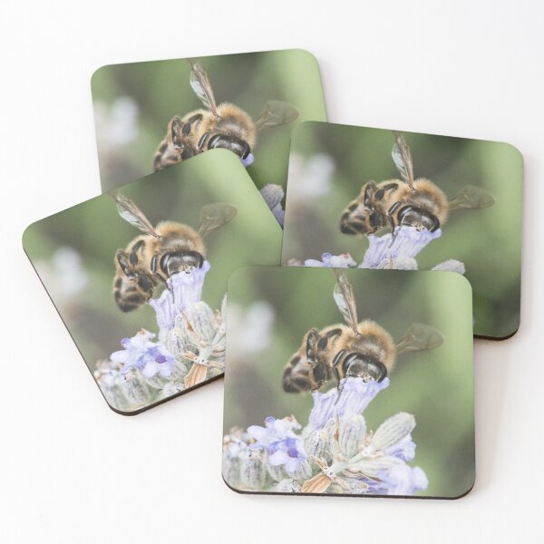 Aperçu de l'œuvre Abeille butinant du nectar créée et vendue par XaviFotografia.