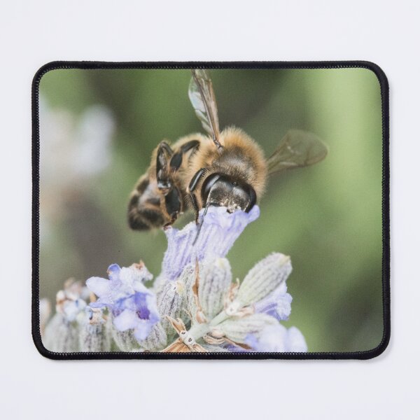Item preview, Bee sipping nectar designed and sold by XaviFotografia.