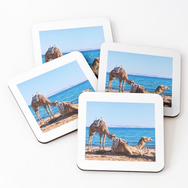 Item preview, camel, egypt  designed and sold by Kasia1987t.