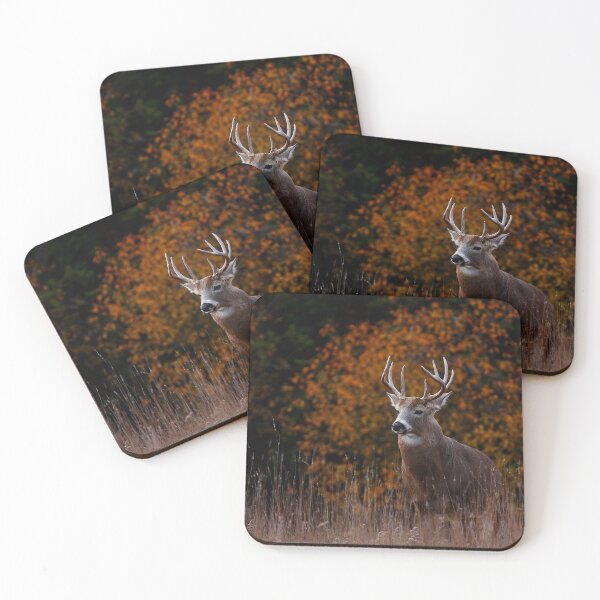 Item preview, Early fall rut - White-tailed Deer designed and sold by James Cumming.