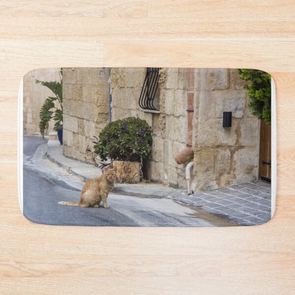 Item preview, Ginger Cat Sitting on Quiet Stone Street Beside Rustic Old Town Building and Potted Plant designed and sold by Nmallia.