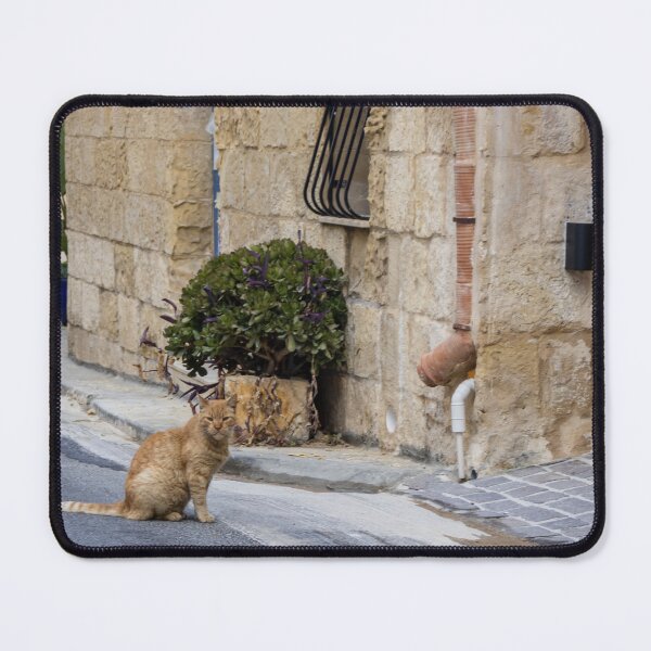 Item preview, Ginger Cat Sitting on Quiet Stone Street Beside Rustic Old Town Building and Potted Plant designed and sold by Nmallia.