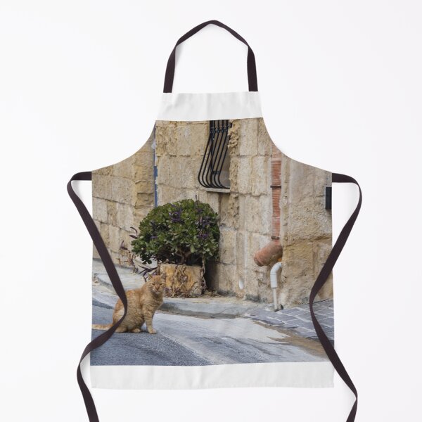 Item preview, Ginger Cat Sitting on Quiet Stone Street Beside Rustic Old Town Building and Potted Plant designed and sold by Nmallia.