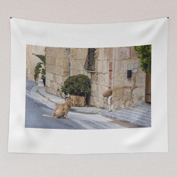 Item preview, Ginger Cat Sitting on Quiet Stone Street Beside Rustic Old Town Building and Potted Plant designed and sold by Nmallia.