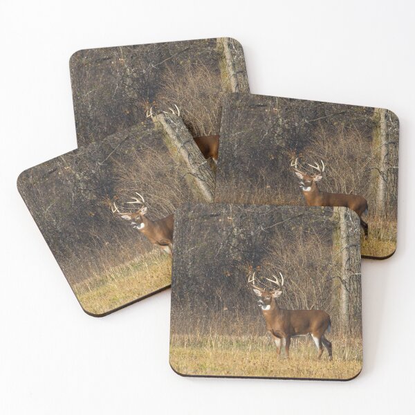 Item preview, Grace and Poise - White-tailed deer designed and sold by James Cumming.