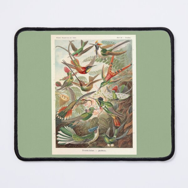 Item preview, Antique Hummingbirds designed and sold by collageDP.