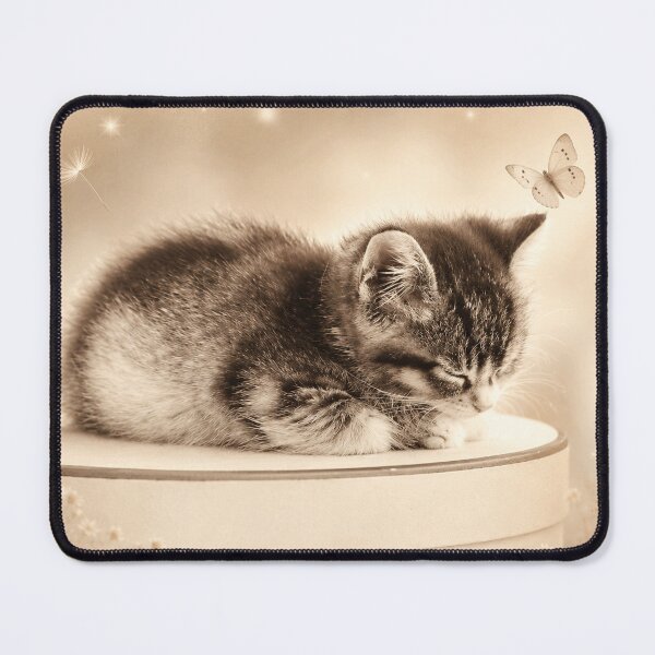 Item preview, Kitten Sleeping on a Hat Box designed and sold by Kimberly Palmer.