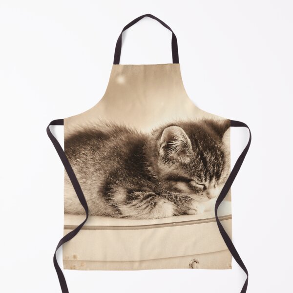 Item preview, Kitten Sleeping on a Hat Box designed and sold by Kimberly Palmer.