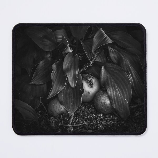 Item preview, Black & White Orchard designed and sold by bluerosesart37.