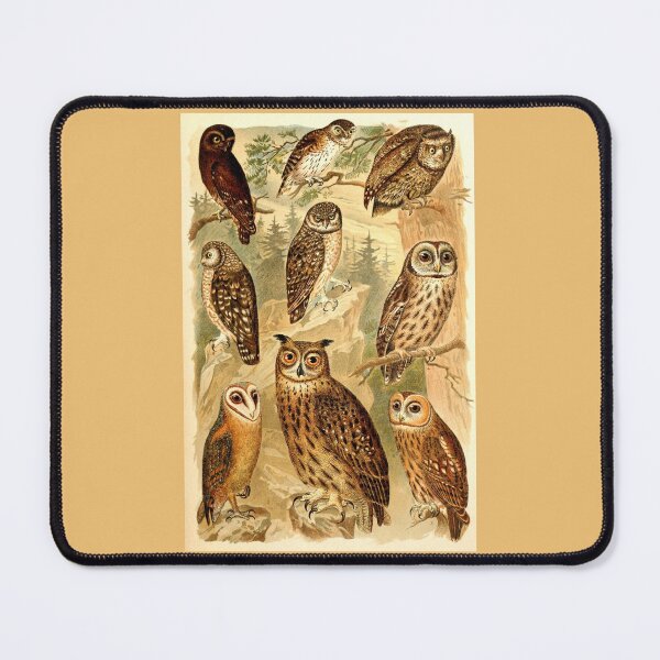 Item preview, Owls, Owls, Owls designed and sold by collageDP.