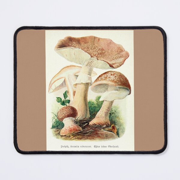 Item preview, Antique Mushrooms Tan designed and sold by collageDP.