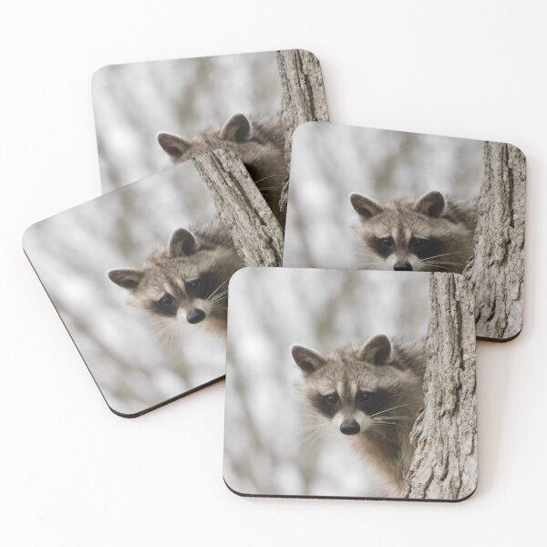 Item preview, Curious Raccoon designed and sold by PerinOnTheRocks.