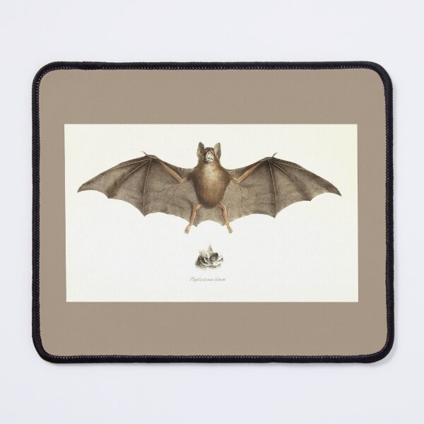 Item preview, Antique Bat Image designed and sold by collageDP.