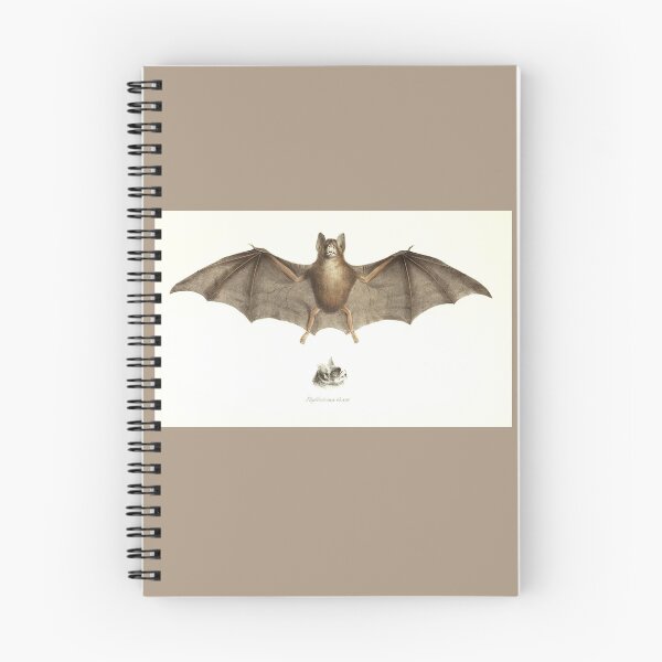 Item preview, Antique Bat Image designed and sold by collageDP.