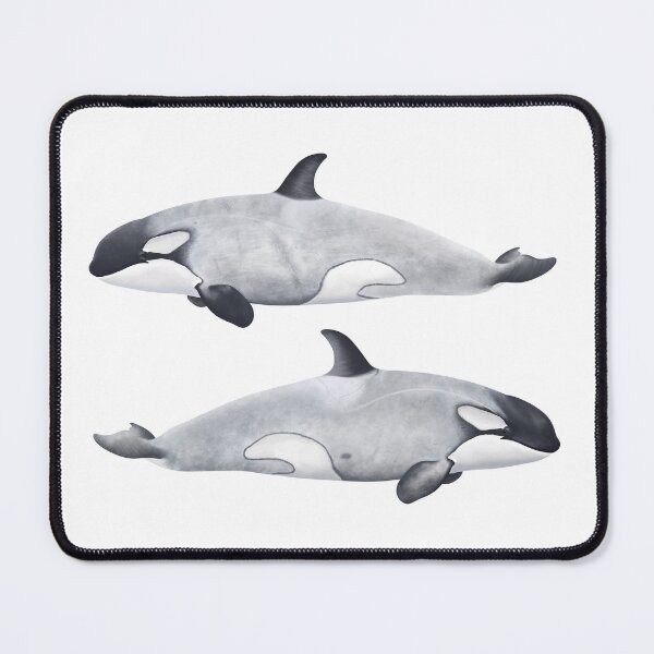 Item preview, Killer Whale CA216C1 Frosty Both Sides W/O Text designed and sold by Selena Rivera.