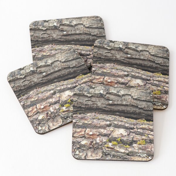 Item preview, Lichen, Moss on Bark of Stacked Wood Logs  designed and sold by Gaboro.